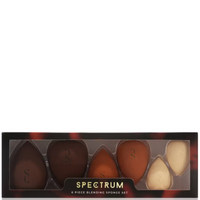 Spectrum Collections Pantherine 6 Piece Sponges Bundle