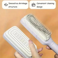 Self Cleaning Hair Brush One-key Cleaning Hair